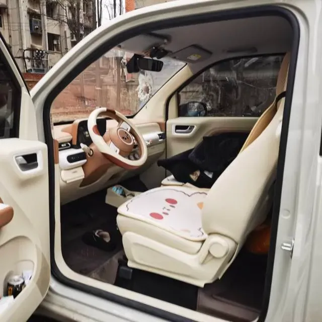 2024 WuLing HongGuang MINI EV BEV 17.3KWH,autocango,china used car exporter,china ev exporter,chinese used car exporter,chinese used ev exporter