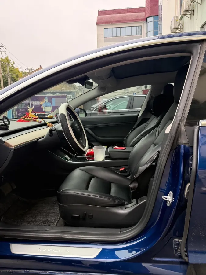 2020 Tesla Model 3 BEV 52KWH,autocango,china used car exporter,china ev exporter,chinese used car exporter,chinese used ev exporter