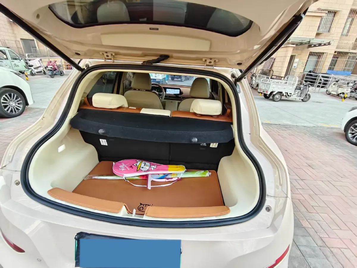 2023 Ora FunkyCat BEV 47.8KWH,autocango,china used car exporter,china ev exporter,chinese used car exporter,chinese used ev exporter