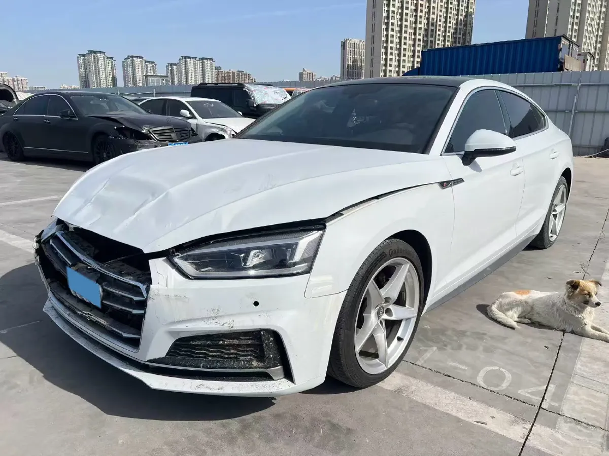 2019 Alfa Romeo Giulia 2.0T 280HP L4 8AT,autocango,china used car exporter,china ev exporter,chinese used car exporter,chinese used ev exporter