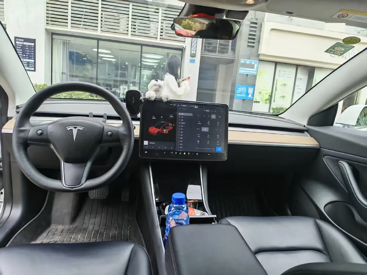 2019 Tesla Model 3 BEV 60KWH,autocango,china used car exporter,china ev exporter,chinese used car exporter,chinese used ev exporter