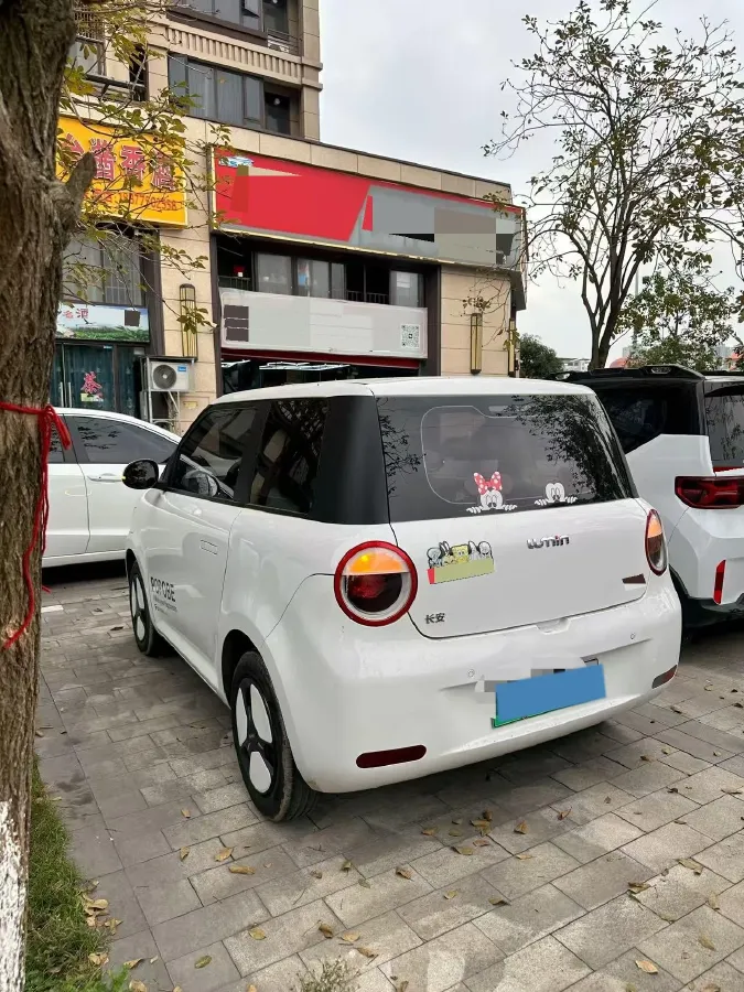 2022 Levdeo Mango BEV 17.28KWH,autocango,china used car exporter,china ev exporter,chinese used car exporter,chinese used ev exporter