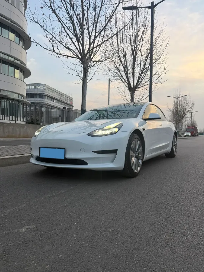 2021 Tesla Model 3 BEV 55KWH,autocango,china used car exporter,china ev exporter,chinese used car exporter,chinese used ev exporter