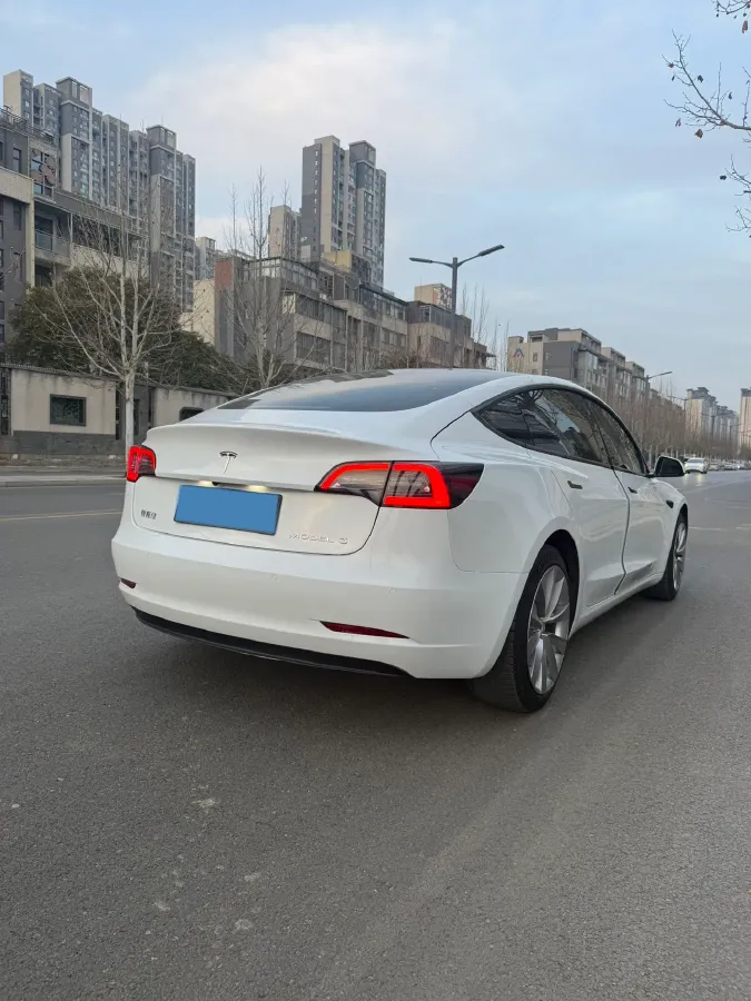 2021 Tesla Model 3 BEV 55KWH,autocango,china used car exporter,china ev exporter,chinese used car exporter,chinese used ev exporter