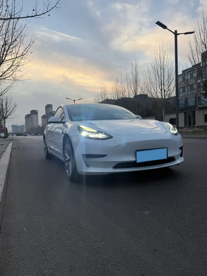 2021 Tesla Model 3 BEV 55KWH,autocango,china used car exporter,china ev exporter,chinese used car exporter,chinese used ev exporter