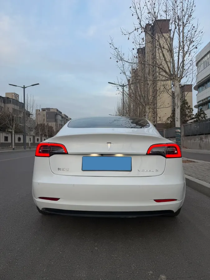 2021 Tesla Model 3 BEV 55KWH,autocango,china used car exporter,china ev exporter,chinese used car exporter,chinese used ev exporter