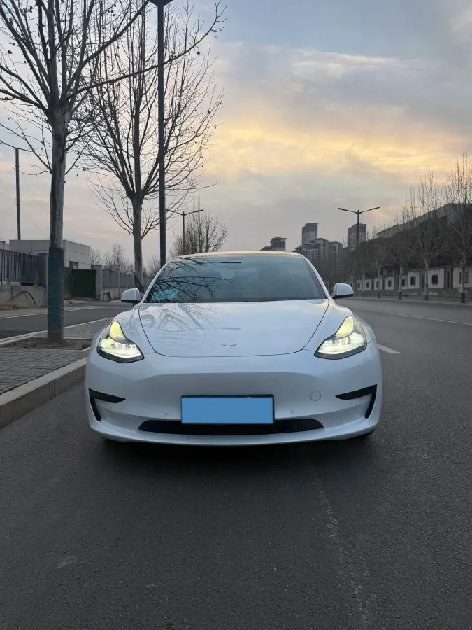 2021 Tesla Model 3 BEV 55KWH,autocango,china used car exporter,china ev exporter,chinese used car exporter,chinese used ev exporter