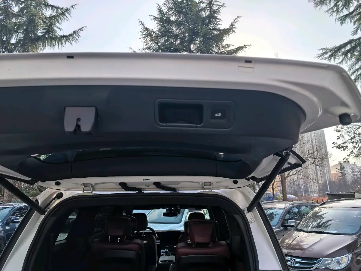 2023 GAC Trumpchi M8 2.0T 252HP L4 8AT,autocango,china used car exporter,china ev exporter,chinese used car exporter,chinese used ev exporter