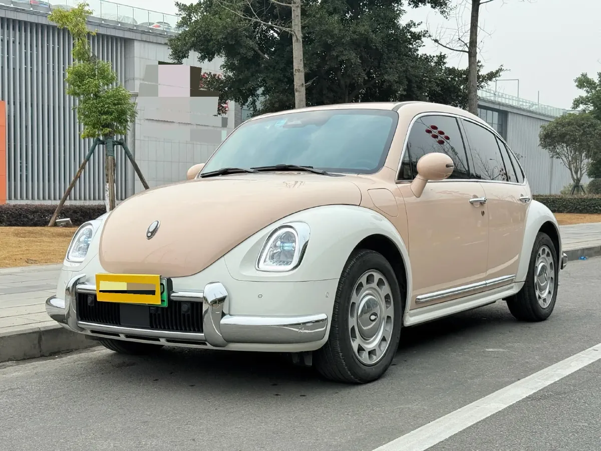 2023 Ora BalletCat BEV 49.92KWH,autocango,china used car exporter,china ev exporter,chinese used car exporter,chinese used ev exporter