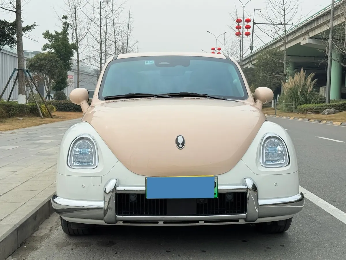 2023 Ora BalletCat BEV 49.92KWH,autocango,china used car exporter,china ev exporter,chinese used car exporter,chinese used ev exporter