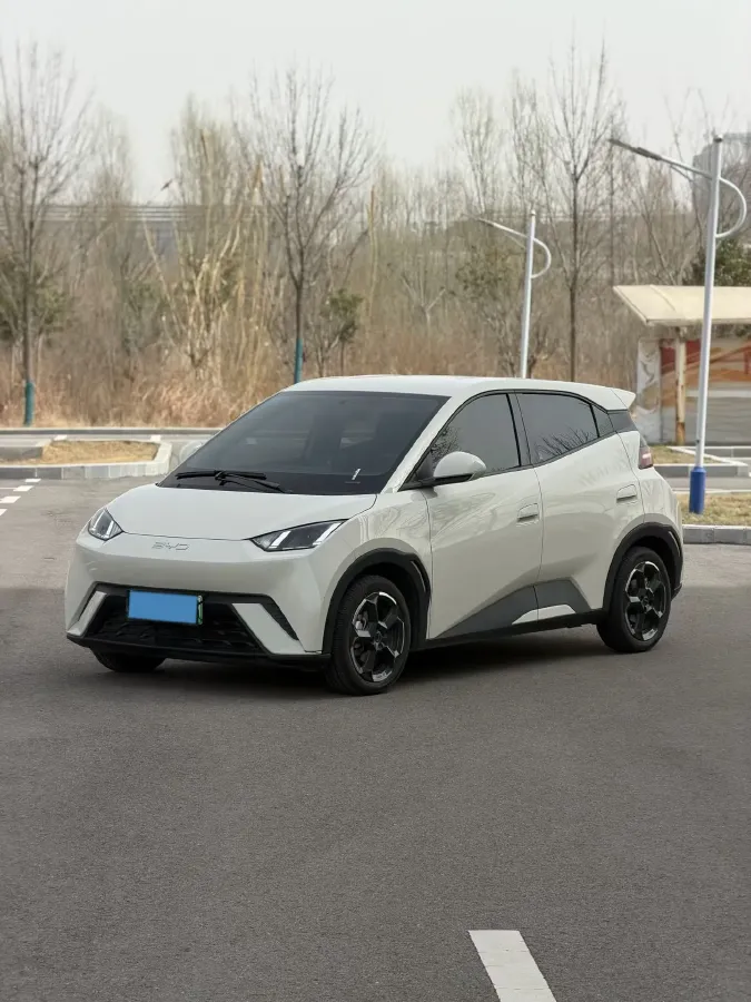 2024 BYD Seagull BEV 38.88KWH,autocango,china used car exporter,china ev exporter,chinese used car exporter,chinese used ev exporter