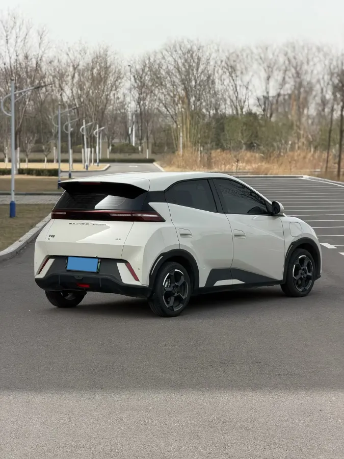 2024 BYD Seagull BEV 38.88KWH,autocango,china used car exporter,china ev exporter,chinese used car exporter,chinese used ev exporter