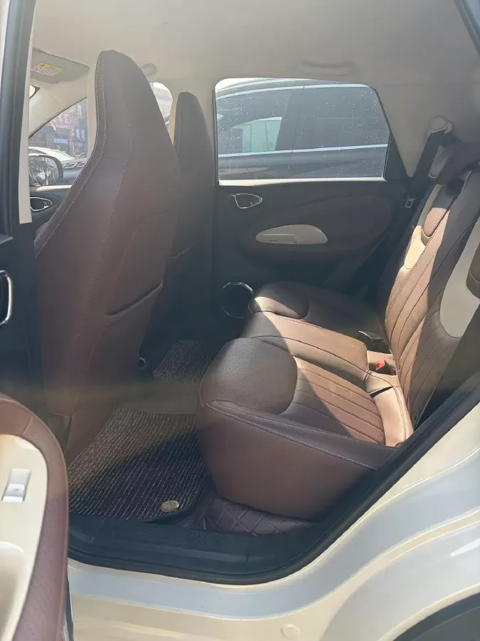 2024 WuLing BinGuo BEV 31.9KWH,autocango,china used car exporter,china ev exporter,chinese used car exporter,chinese used ev exporter