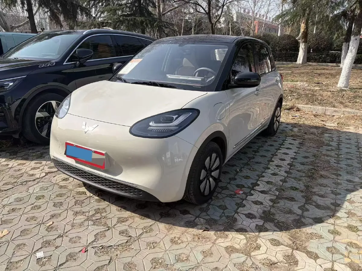 2024 WuLing BinGuo BEV 31.9KWH,autocango,china used car exporter,china ev exporter,chinese used car exporter,chinese used ev exporter