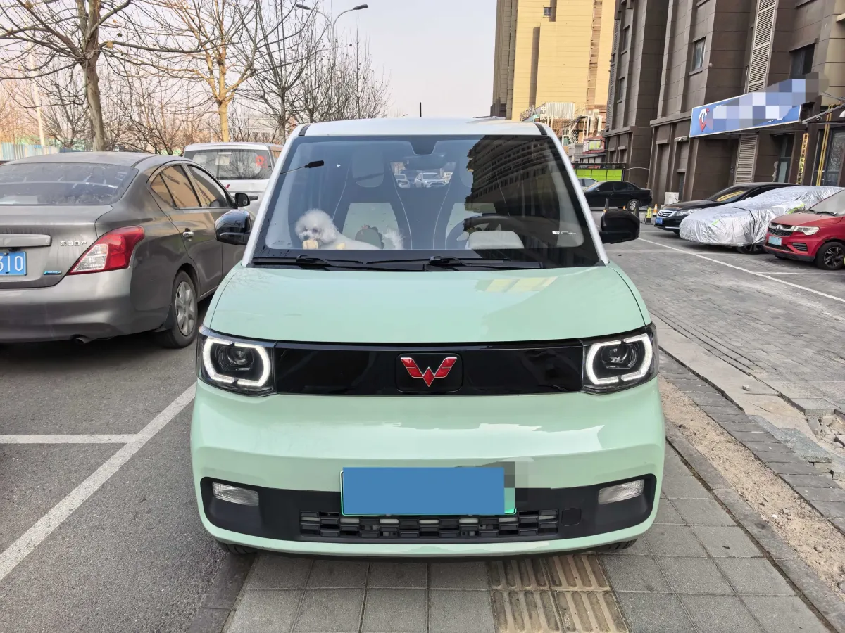 2021 WuLing HongGuang MINI EV BEV 9KWH,autocango,china used car exporter,china ev exporter,chinese used car exporter,chinese used ev exporter