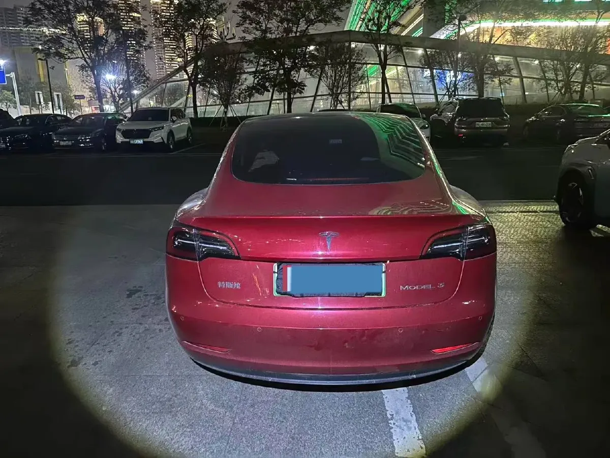 2021 Tesla Model 3 BEV 55KWH,autocango,china used car exporter,china ev exporter,chinese used car exporter,chinese used ev exporter