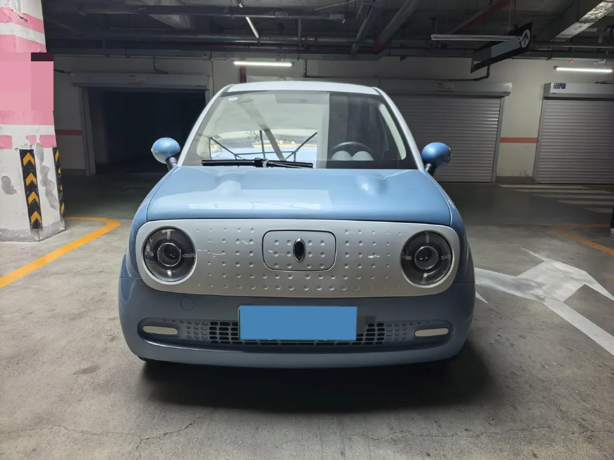 2019 Ora BlackCat BEV 28.5KWH,autocango,china used car exporter,china ev exporter,chinese used car exporter,chinese used ev exporter