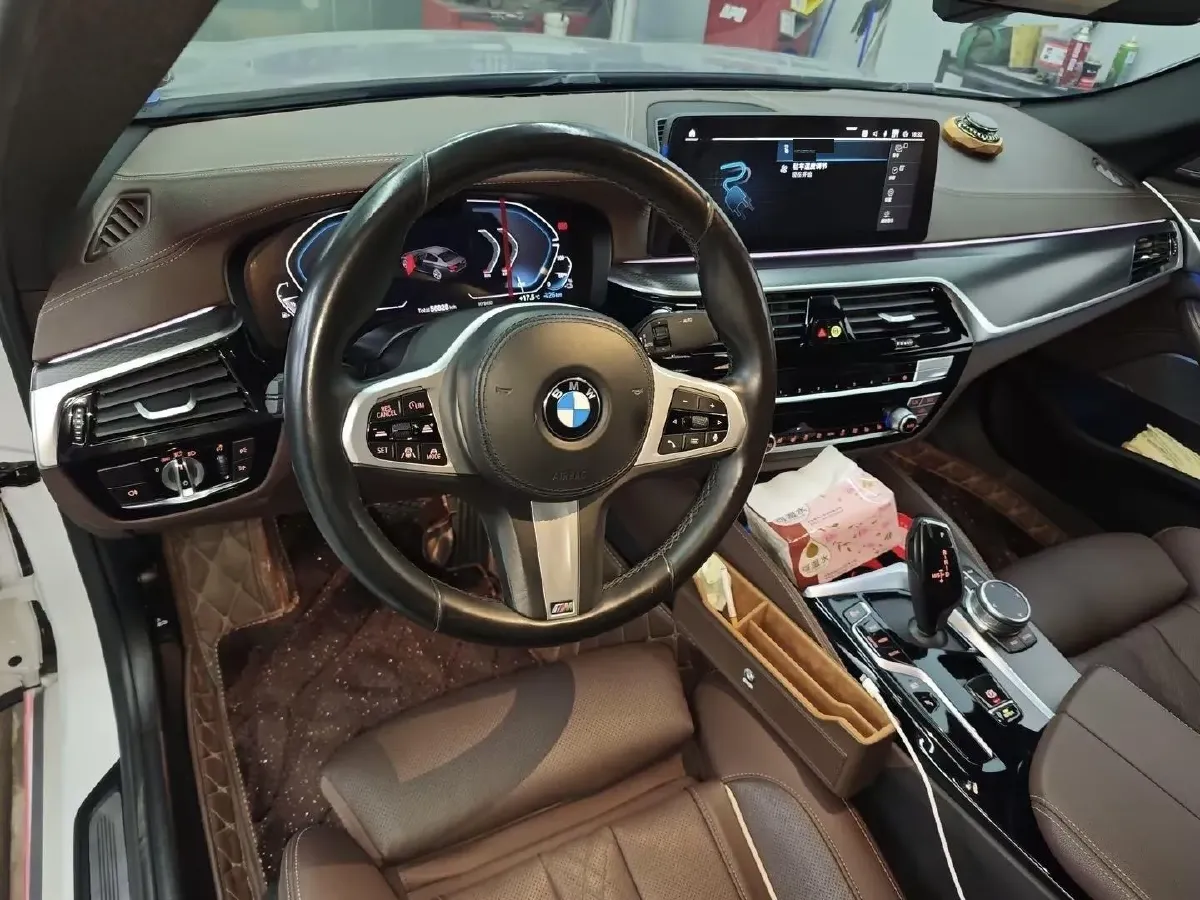 2021 BMW 5 Series 2.0T 184HP L4 8AT PHEV 17.7KWH,autocango,china used car exporter,china ev exporter,chinese used car exporter,chinese used ev exporter