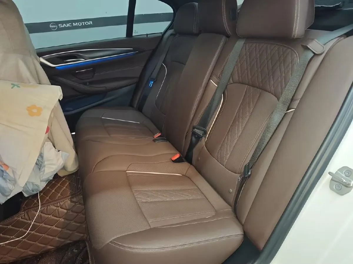 2021 BMW 5 Series 2.0T 184HP L4 8AT PHEV 17.7KWH,autocango,china used car exporter,china ev exporter,chinese used car exporter,chinese used ev exporter