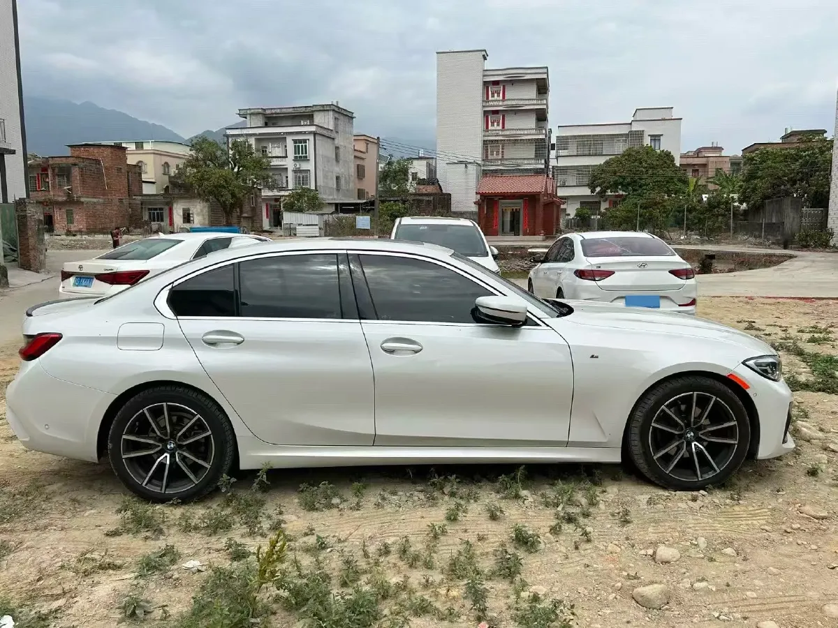 2020 BMW 3 Series 2.0T 184HP L4 8AT,autocango,china used car exporter,china ev exporter,chinese used car exporter,chinese used ev exporter