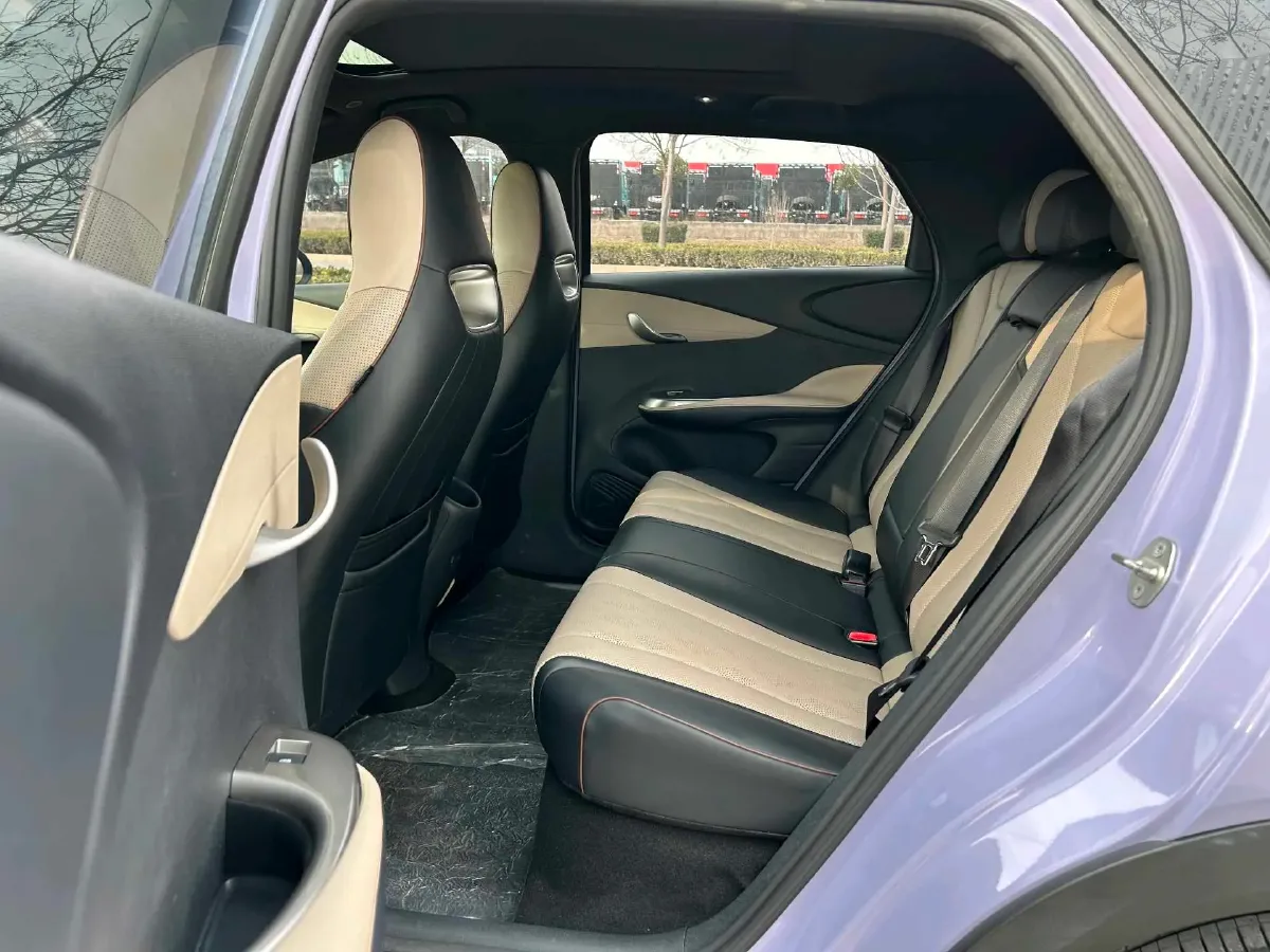 2023 BYD Dolphin BEV 44.928KWH,autocango,china used car exporter,china ev exporter,chinese used car exporter,chinese used ev exporter