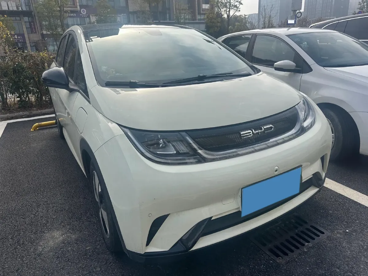 2023 BYD Dolphin BEV 44.928KWH,autocango,china used car exporter,china ev exporter,chinese used car exporter,chinese used ev exporter