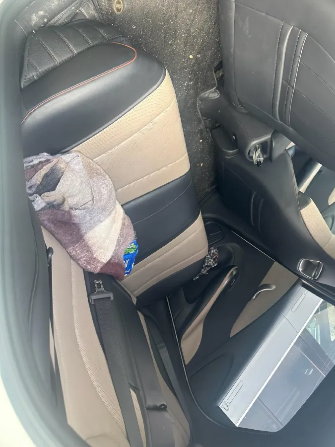 2023 BYD Dolphin BEV 44.928KWH,autocango,china used car exporter,china ev exporter,chinese used car exporter,chinese used ev exporter