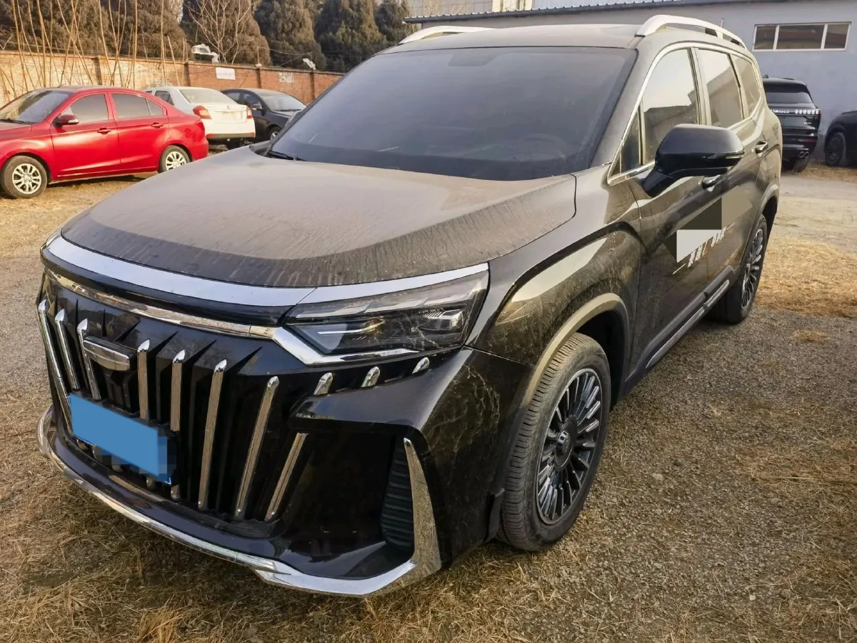 2024 Geely Okavango L 2.0T 218HP L4 7DCT,autocango,china used car exporter,china ev exporter,chinese used car exporter,chinese used ev exporter