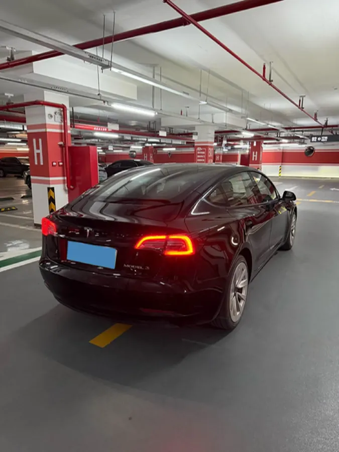 2021 Tesla Model 3 BEV 55KWH,autocango,china used car exporter,china ev exporter,chinese used car exporter,chinese used ev exporter