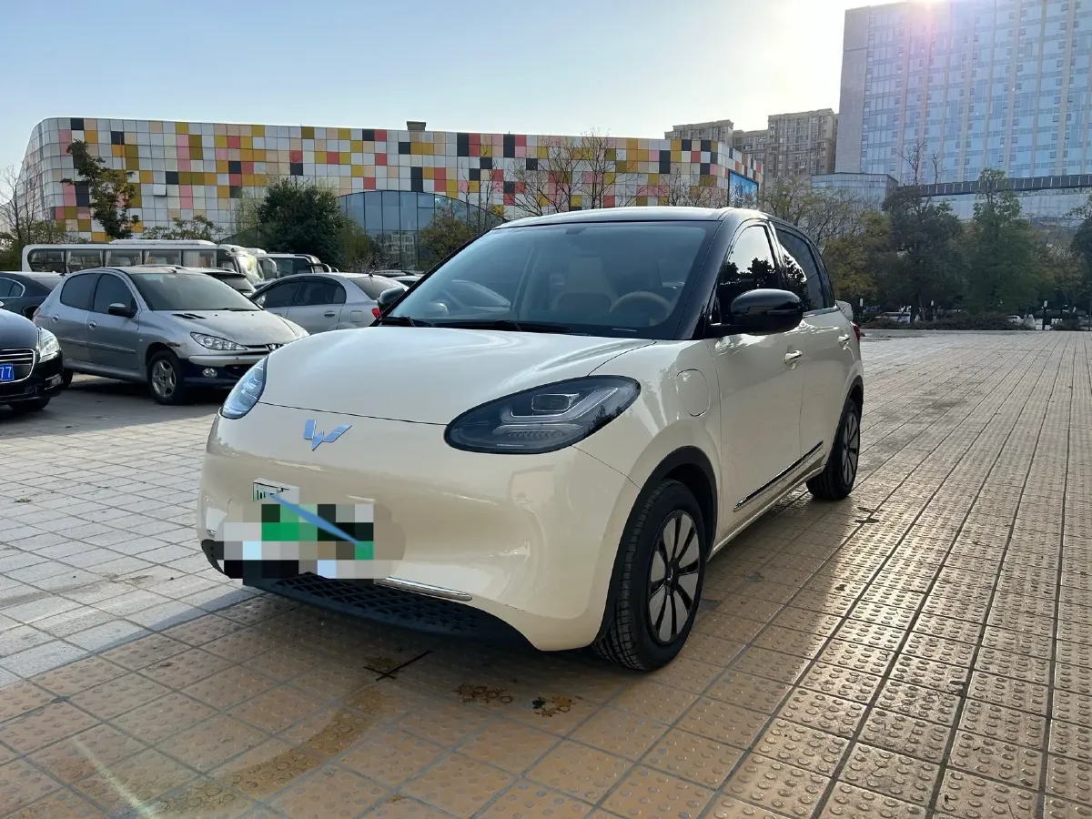 2025 WuLing BinGuo BEV,autocango,china used car exporter,china ev exporter,chinese used car exporter,chinese used ev exporter