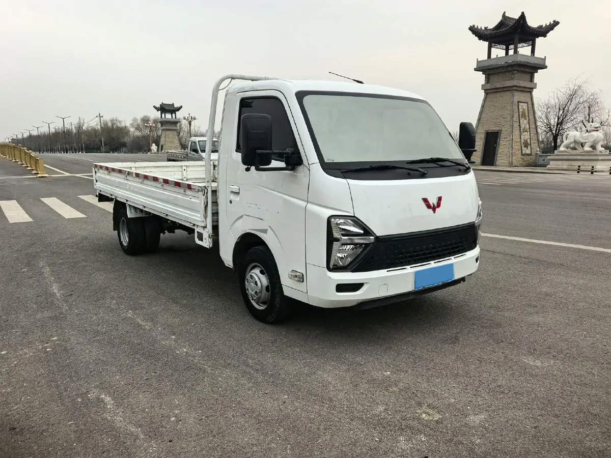 2023 WuLing Loong Truck 2.0L 136HP L4 5MT,autocango,china used car exporter,china ev exporter,chinese used car exporter,chinese used ev exporter