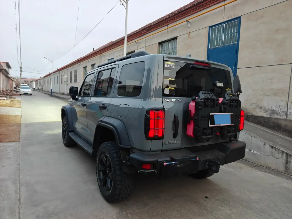 2021 Tank 300 2.0T 227HP L4 8AT,autocango,china used car exporter,china ev exporter,chinese used car exporter,chinese used ev exporter