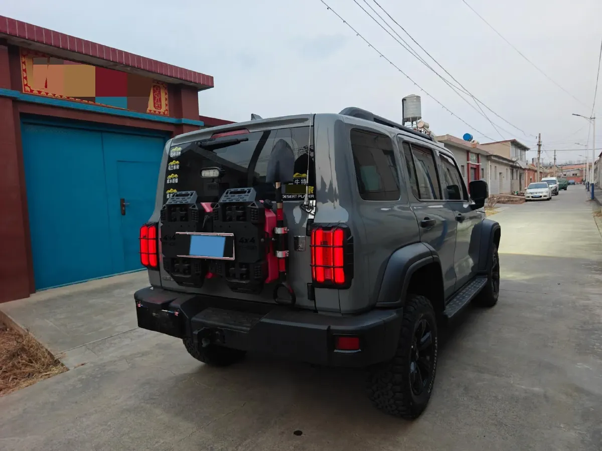 2021 Tank 300 2.0T 227HP L4 8AT,autocango,china used car exporter,china ev exporter,chinese used car exporter,chinese used ev exporter