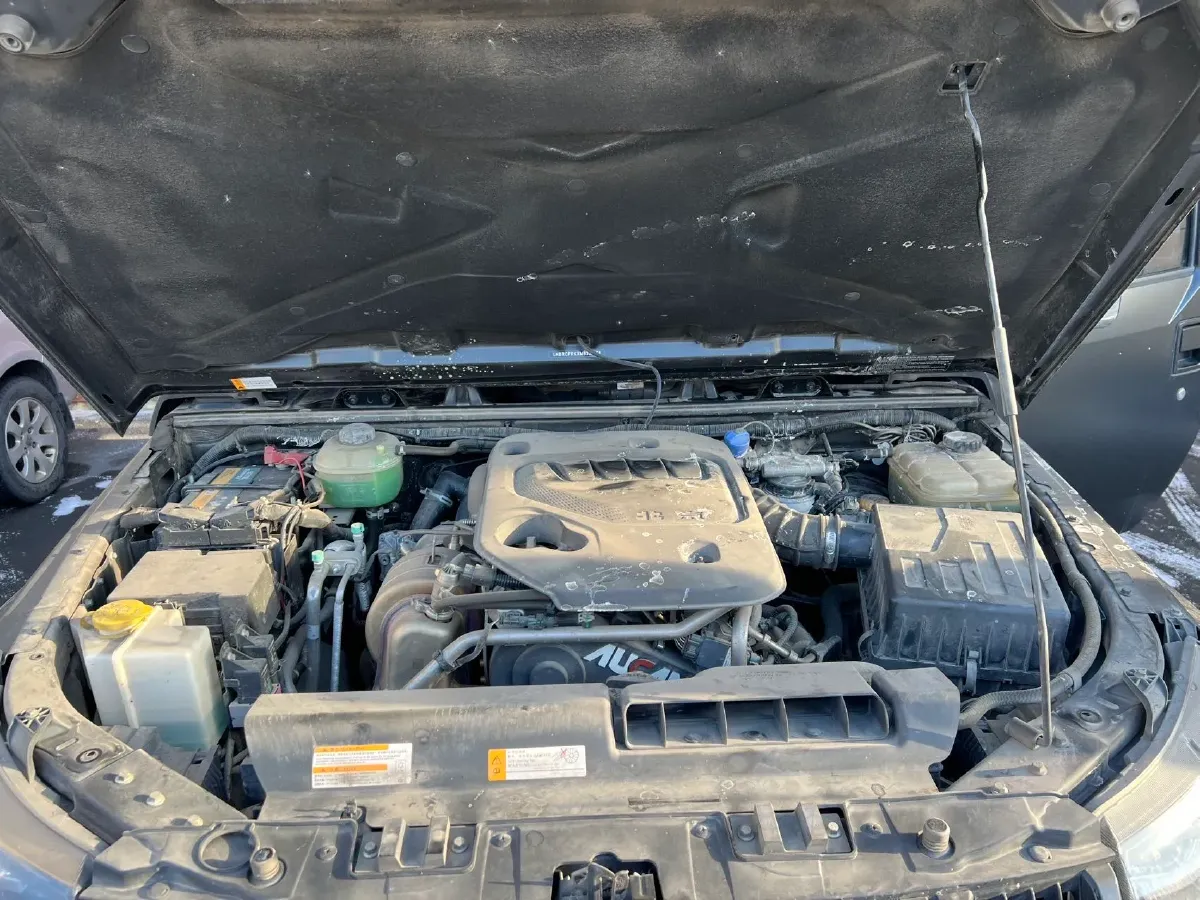 2021 Beijing BJ40 2.0T 163HP L4 8AT,autocango,china used car exporter,china ev exporter,chinese used car exporter,chinese used ev exporter