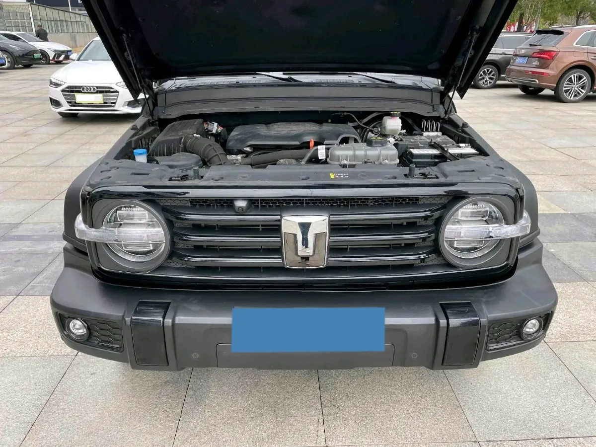 2024 Tank 300 2.0T 227HP L4 8AT,autocango,china used car exporter,china ev exporter,chinese used car exporter,chinese used ev exporter