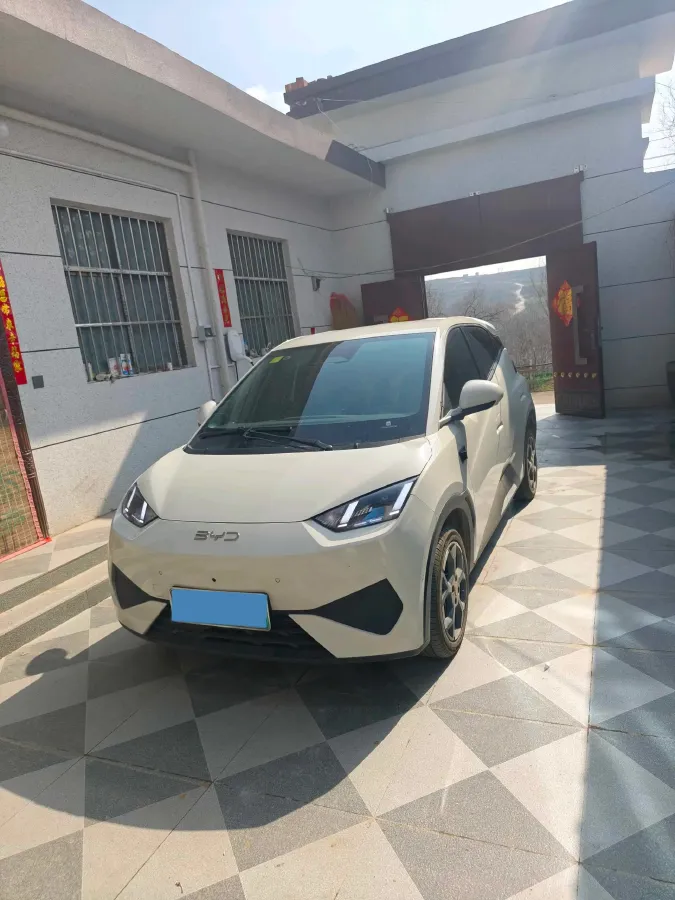 2025 BYD Seagull BEV 30.08KWH,autocango,china used car exporter,china ev exporter,chinese used car exporter,chinese used ev exporter