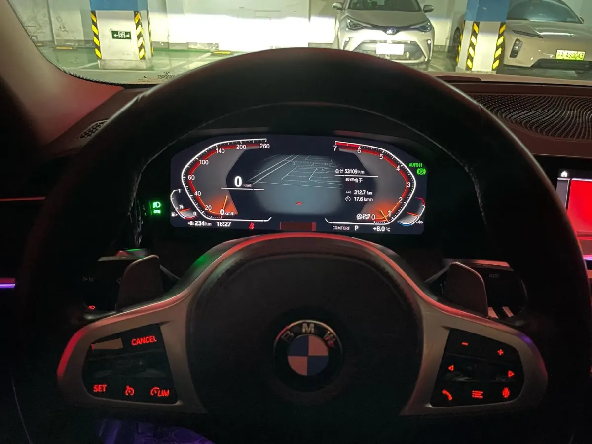 2021 BMW 3 Series 2.0T 184HP L4 8AT,autocango,china used car exporter,china ev exporter,chinese used car exporter,chinese used ev exporter