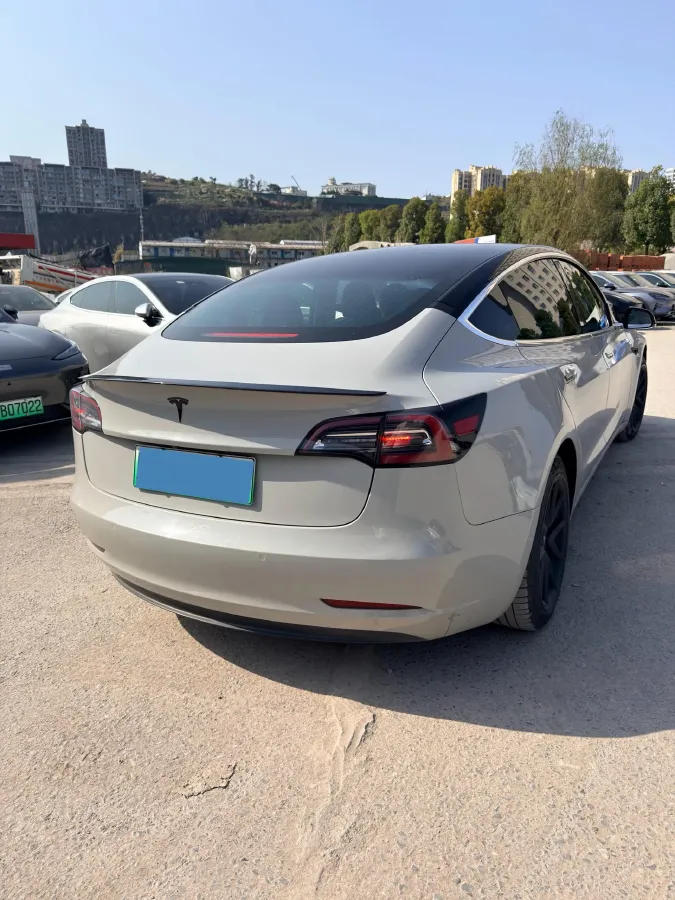 2020 Tesla Model 3 BEV 52KWH,autocango,china used car exporter,china ev exporter,chinese used car exporter,chinese used ev exporter