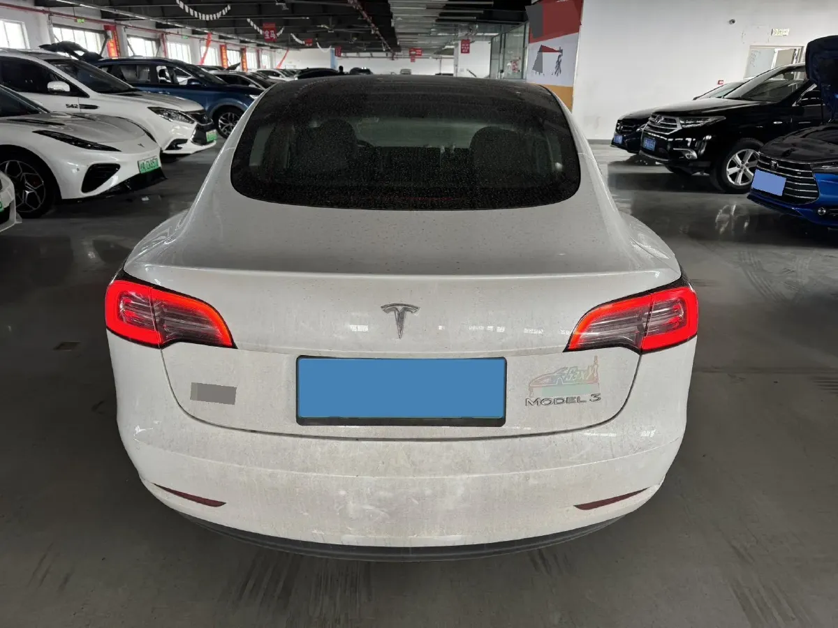 2021 Tesla Model 3 BEV 55KWH,autocango,china used car exporter,china ev exporter,chinese used car exporter,chinese used ev exporter