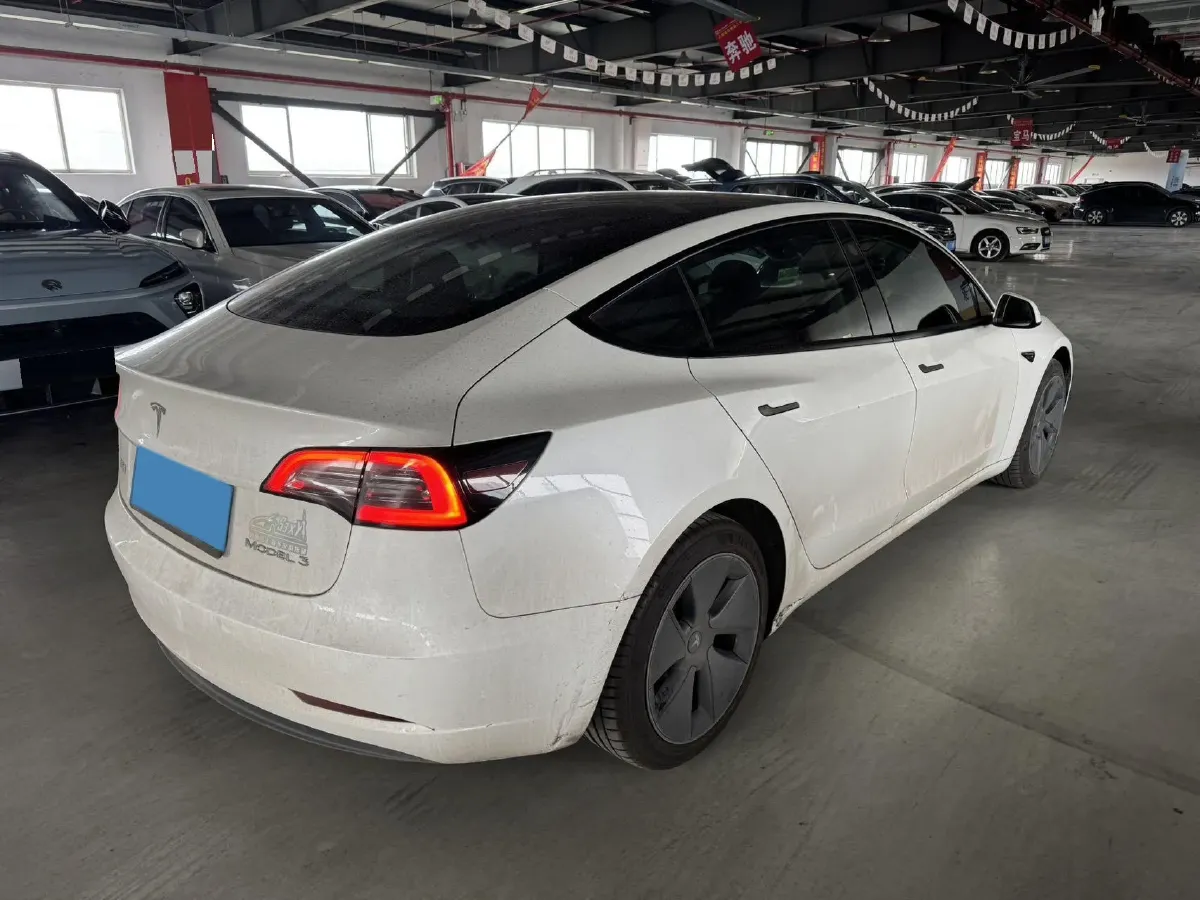 2021 Tesla Model 3 BEV 55KWH,autocango,china used car exporter,china ev exporter,chinese used car exporter,chinese used ev exporter