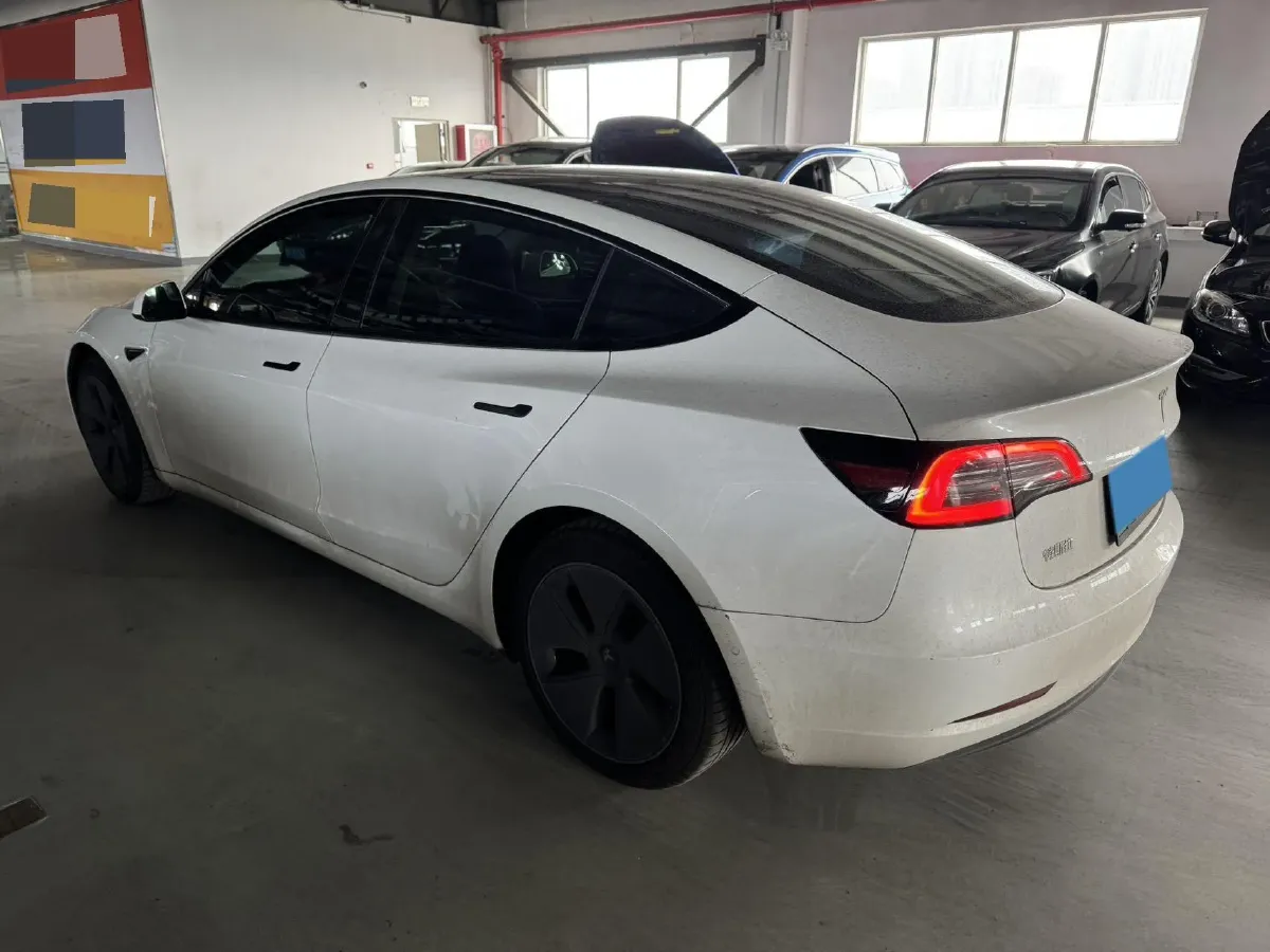 2021 Tesla Model 3 BEV 55KWH,autocango,china used car exporter,china ev exporter,chinese used car exporter,chinese used ev exporter