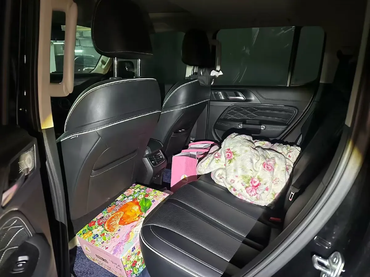 2021 Tank 300 2.0T 227HP L4 8AT,autocango,china used car exporter,china ev exporter,chinese used car exporter,chinese used ev exporter