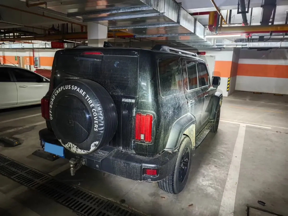 2021 Tank 300 2.0T 227HP L4 8AT,autocango,china used car exporter,china ev exporter,chinese used car exporter,chinese used ev exporter