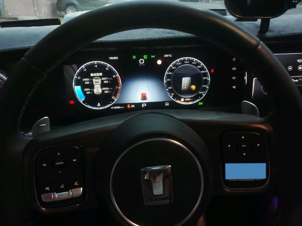 2021 Tank 300 2.0T 227HP L4 8AT,autocango,china used car exporter,china ev exporter,chinese used car exporter,chinese used ev exporter