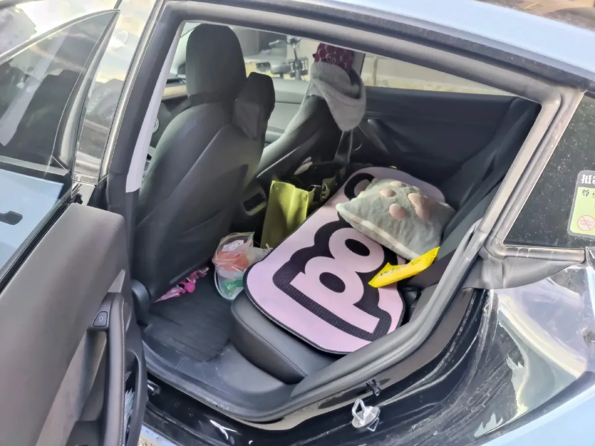 2022 Tesla Model 3 BEV 60KWH,autocango,china used car exporter,china ev exporter,chinese used car exporter,chinese used ev exporter