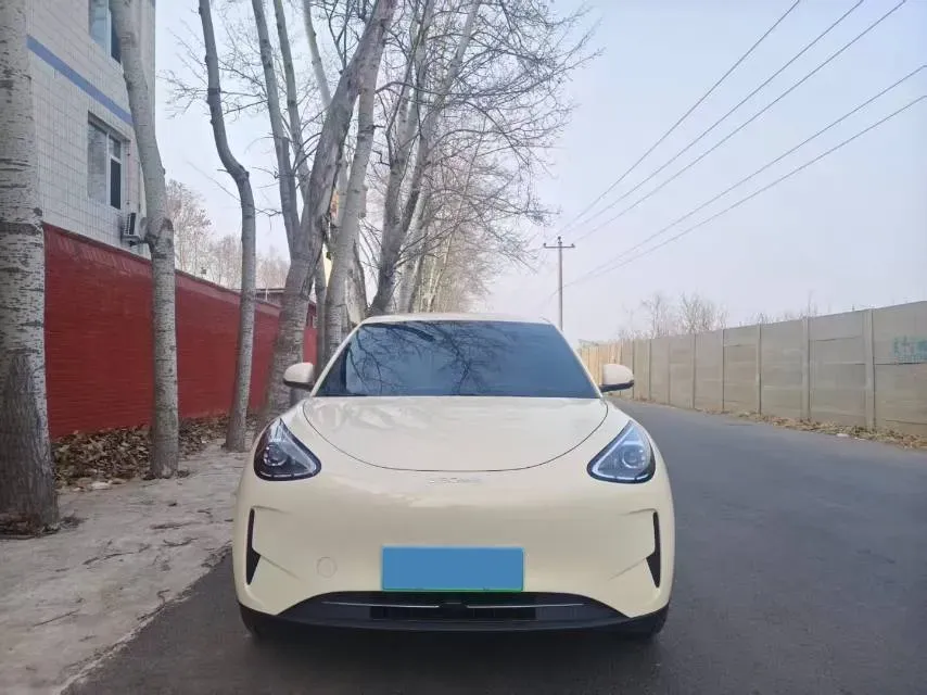 2025 WuLing BinGuo S BEV,autocango,china used car exporter,china ev exporter,chinese used car exporter,chinese used ev exporter