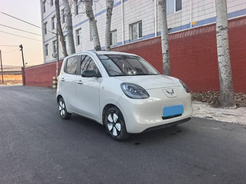2024 WuLing HongGuang MINI EV BEV 17.3KWH,autocango,china used car exporter,china ev exporter,chinese used car exporter,chinese used ev exporter