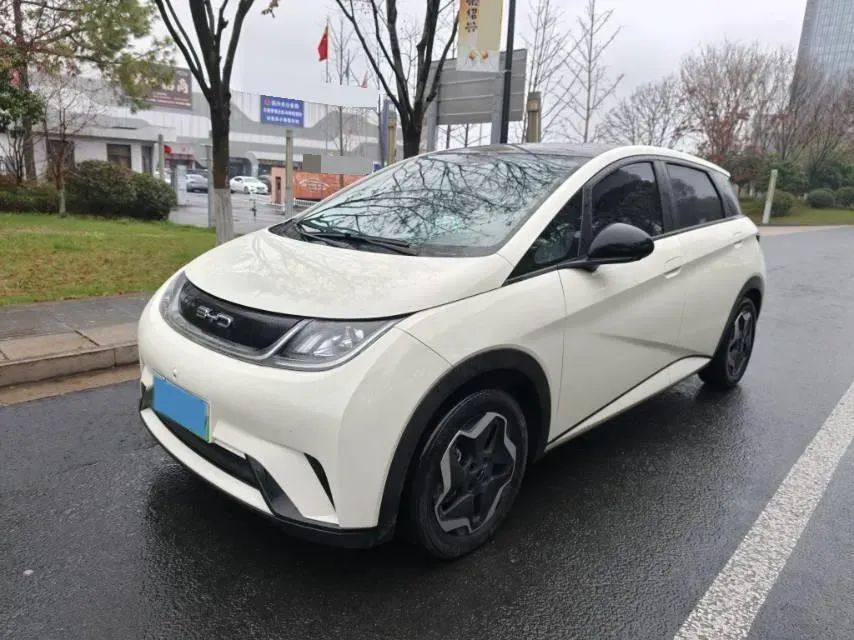 2021 BYD Yuan Pro BEV 50.1KWH,autocango,china used car exporter,china ev exporter,chinese used car exporter,chinese used ev exporter