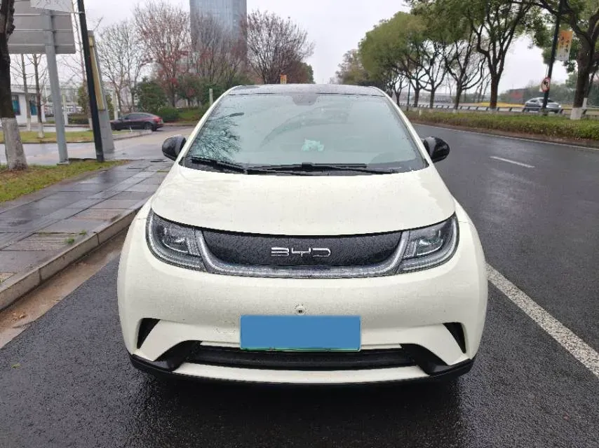 2021 BYD Yuan Pro BEV 50.1KWH,autocango,china used car exporter,china ev exporter,chinese used car exporter,chinese used ev exporter