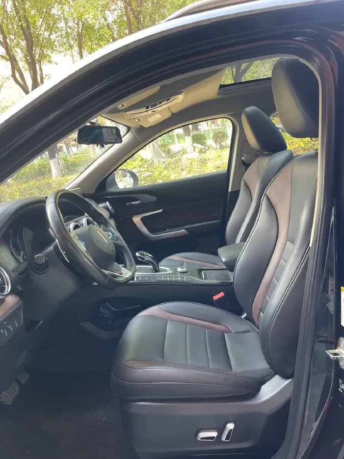 2020 WEY VV5 1.5T 171HP L4 7DCT,autocango,china used car exporter,china ev exporter,chinese used car exporter,chinese used ev exporter